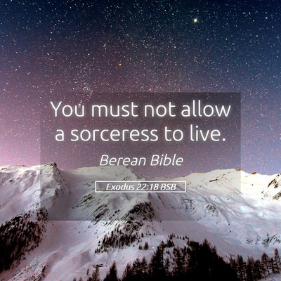 Picture 05 - Exodus 22:18 BSB - You must not allow a sorceress to - Bible Verse Picture