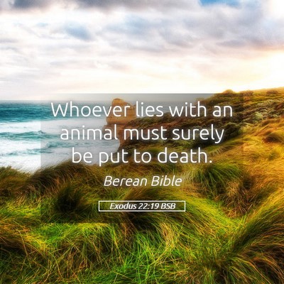 Picture 05 - Exodus 22:19 BSB - Whoever lies with an animal must surely be put to - Bible Verse Picture