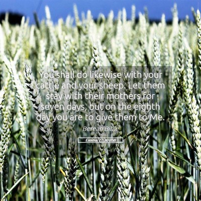 Picture 05 - Exodus 22:30 BSB - You shall do likewise with your cattle and your - Bible Verse Picture