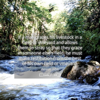 Picture 05 - Exodus 22:5 BSB - If a man grazes his livestock in a field or - Bible Verse Picture