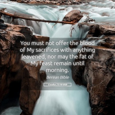 Picture 05 - Exodus 23:18 BSB - You must not offer the blood of My sacrifices - Bible Verse Picture