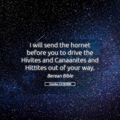 Picture 05 - Exodus 23:28 BSB - I will send the hornet before you to drive the - Bible Verse Picture