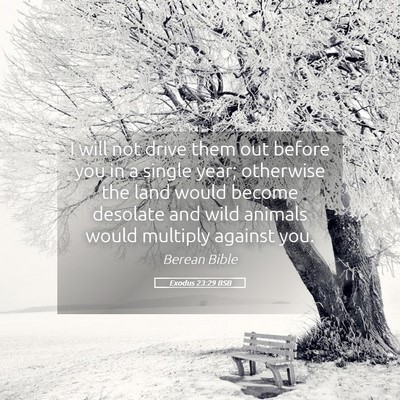 Picture 05 - Exodus 23:29 BSB - I will not drive them out before you in a single - Bible Verse Picture