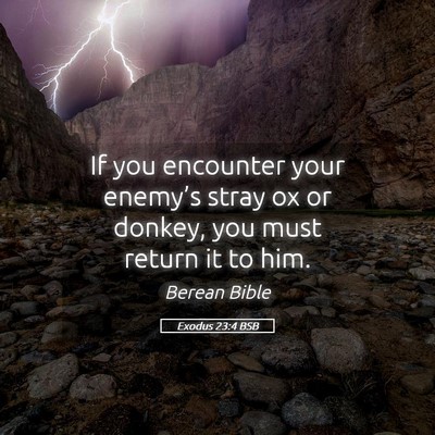 Picture 05 - Exodus 23:4 BSB - If you encounter your enemy’s stray ox or - Bible Verse Picture