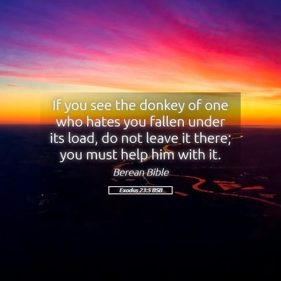 Picture 05 - Exodus 23:5 BSB - If you see the donkey of one who hates you fallen - Bible Verse Picture