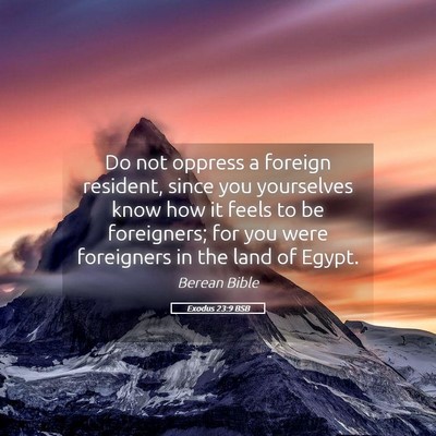 Picture 05 - Exodus 23:9 BSB - Do not oppress a foreign resident, since you - Bible Verse Picture
