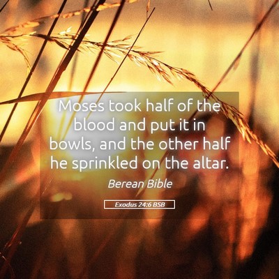 Picture 05 - Exodus 24:6 BSB - Moses took half of the blood and put it in bowls, - Bible Verse Picture