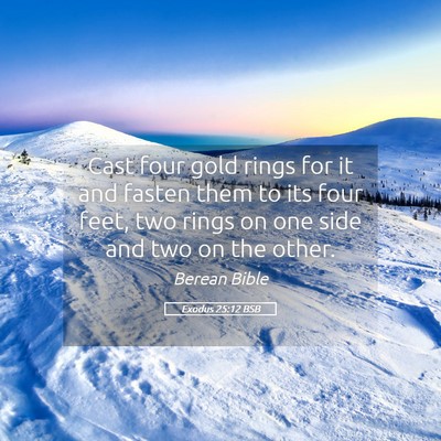 Picture 05 - Exodus 25:12 BSB - Cast four gold rings for it and fasten them to - Bible Verse Picture