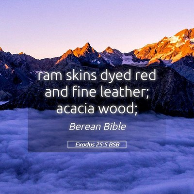 Picture 05 - Exodus 25:5 BSB - ram skins dyed red and fine leather; acacia - Bible Verse Picture