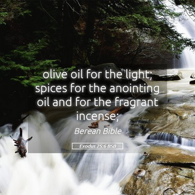 Picture 05 - Exodus 25:6 BSB - olive oil for the light; spices for the anointing - Bible Verse Picture