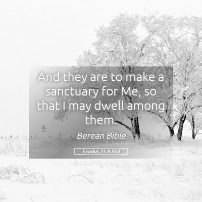 Picture 05 - Exodus 25:8 BSB - And they are to make a sanctuary for Me, so that - Bible Verse Picture