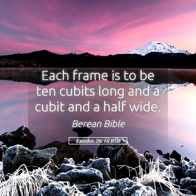 Picture 05 - Exodus 26:16 BSB - Each frame is to be ten cubits long and a cubit - Bible Verse Picture