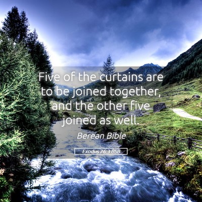 Picture 05 - Exodus 26:3 BSB - Five of the curtains are to be joined together, - Bible Verse Picture