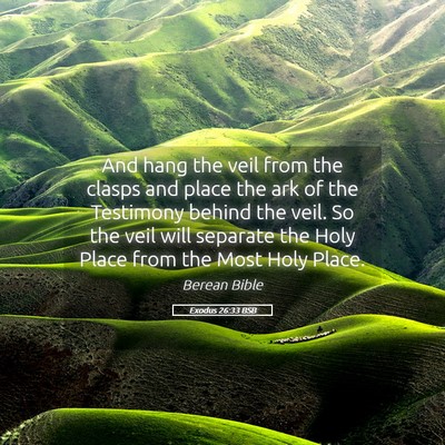 Picture 05 - Exodus 26:33 BSB - And hang the veil from the clasps and place the - Bible Verse Picture