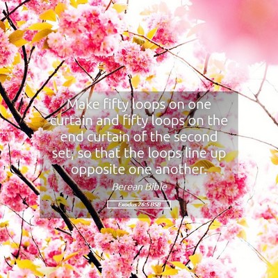 Picture 05 - Exodus 26:5 BSB - Make fifty loops on one curtain and fifty loops - Bible Verse Picture