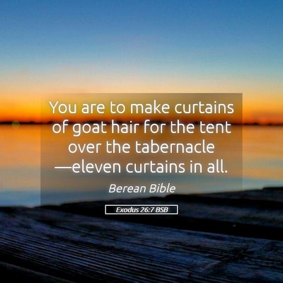 Picture 05 - Exodus 26:7 BSB - You are to make curtains of goat hair for the - Bible Verse Picture