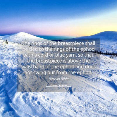 Picture 05 - Exodus 28:28 BSB - The rings of the breastpiece shall be tied to the - Bible Verse Picture