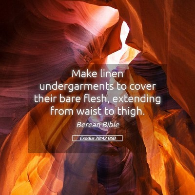 Picture 05 - Exodus 28:42 BSB - Make linen undergarments to cover their bare - Bible Verse Picture