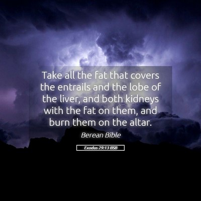 Picture 05 - Exodus 29:13 BSB - Take all the fat that covers the entrails and the - Bible Verse Picture