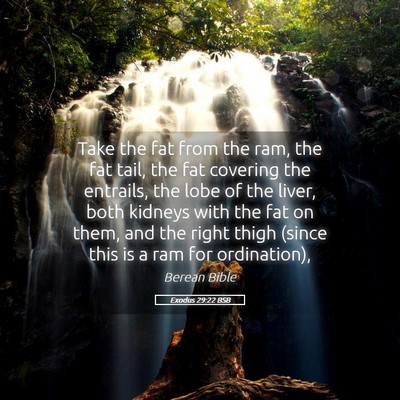 Picture 05 - Exodus 29:22 BSB - Take the fat from the ram, the fat tail, the fat - Bible Verse Picture