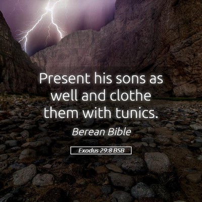 Picture 05 - Exodus 29:8 BSB - Present his sons as well and clothe them with - Bible Verse Picture