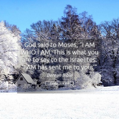 Picture 05 - Exodus 3:14 BSB - God said to Moses, “I AM WHO I AM. This is what - Bible Verse Picture