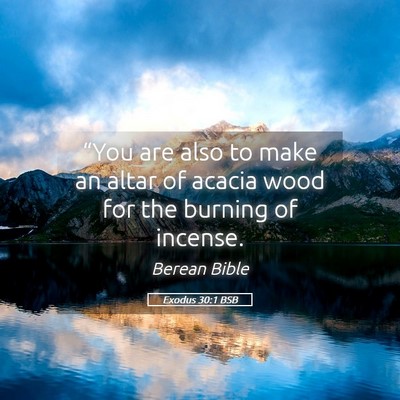 Picture 05 - Exodus 30:1 BSB - “You are also to make an altar of acacia wood - Bible Verse Picture