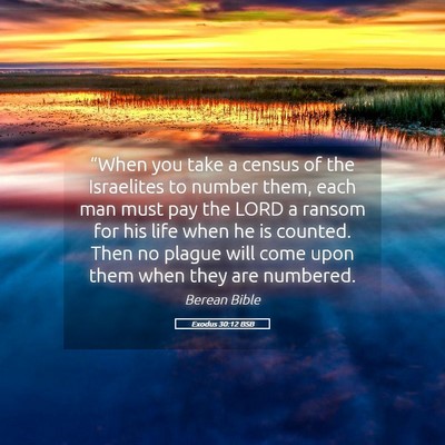 Picture 05 - Exodus 30:12 BSB - “When you take a census of the Israelites to - Bible Verse Picture