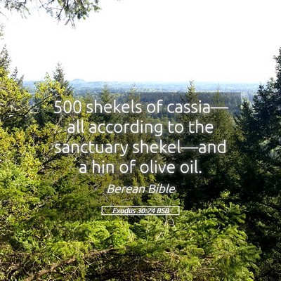 Picture 05 - Exodus 30:24 BSB - 500 shekels of cassia—all according to the - Bible Verse Picture