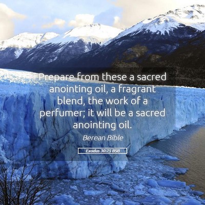 Picture 05 - Exodus 30:25 BSB - Prepare from these a sacred anointing oil, a - Bible Verse Picture