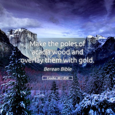 Picture 05 - Exodus 30:5 BSB - Make the poles of acacia wood and overlay them - Bible Verse Picture