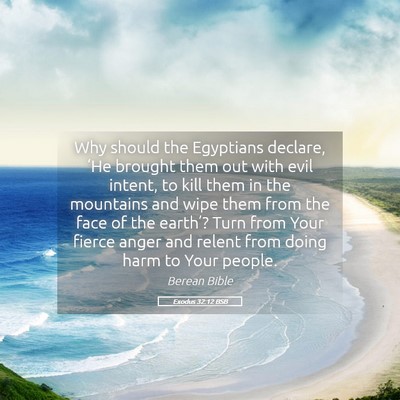 Picture 05 - Exodus 32:12 BSB - Why should the Egyptians declare, ‘He brought - Bible Verse Picture