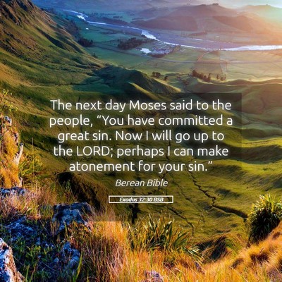 Picture 05 - Exodus 32:30 BSB - The next day Moses said to the people, “You - Bible Verse Picture