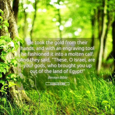 Picture 05 - Exodus 32:4 BSB - He took the gold from their hands, and with an - Bible Verse Picture