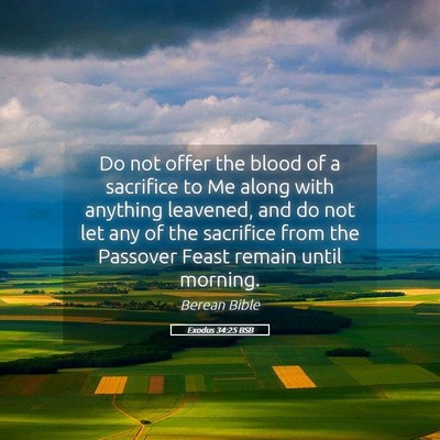 Picture 05 - Exodus 34:25 BSB - Do not offer the blood of a sacrifice to Me along - Bible Verse Picture