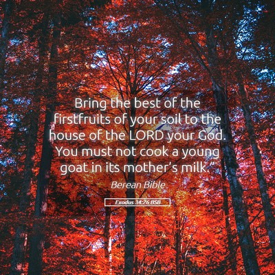 Picture 05 - Exodus 34:26 BSB - Bring the best of the firstfruits of your soil to - Bible Verse Picture