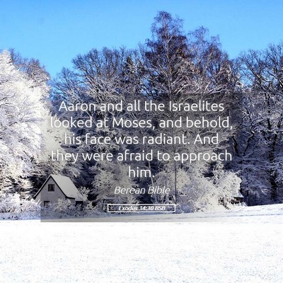 Picture 05 - Exodus 34:30 BSB - Aaron and all the Israelites looked at Moses, and - Bible Verse Picture