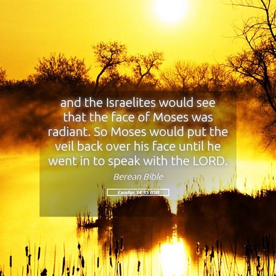 Picture 05 - Exodus 34:35 BSB - and the Israelites would see that the face of - Bible Verse Picture