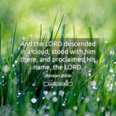 Picture 05 - Exodus 34:5 BSB - And the LORD descended in a cloud, stood with him - Bible Verse Picture