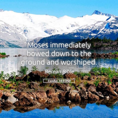 Picture 05 - Exodus 34:8 BSB - Moses immediately bowed down to the ground and - Bible Verse Picture