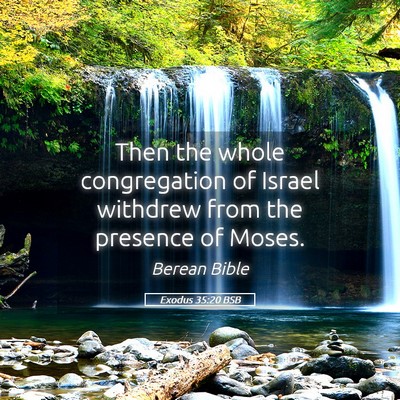 Picture 05 - Exodus 35:20 BSB - Then the whole congregation of Israel withdrew - Bible Verse Picture