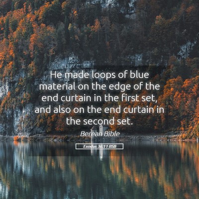Picture 05 - Exodus 36:11 BSB - He made loops of blue material on the edge of the - Bible Verse Picture