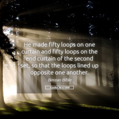 Picture 05 - Exodus 36:12 BSB - He made fifty loops on one curtain and fifty - Bible Verse Picture