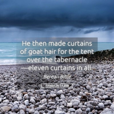 Picture 05 - Exodus 36:14 BSB - He then made curtains of goat hair for the tent - Bible Verse Picture