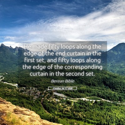 Picture 05 - Exodus 36:17 BSB - He made fifty loops along the edge of the end - Bible Verse Picture