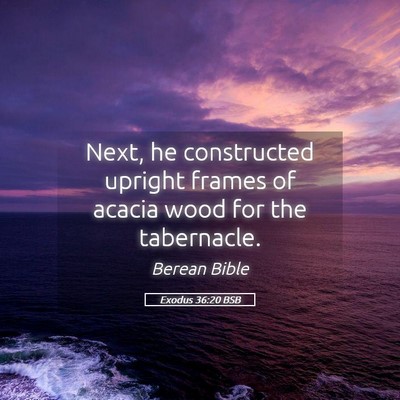 Picture 05 - Exodus 36:20 BSB - Next, he constructed upright frames of acacia - Bible Verse Picture