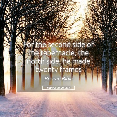 Picture 05 - Exodus 36:25 BSB - For the second side of the tabernacle, the north - Bible Verse Picture