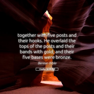 Picture 05 - Exodus 36:38 BSB - together with five posts and their hooks. He - Bible Verse Picture