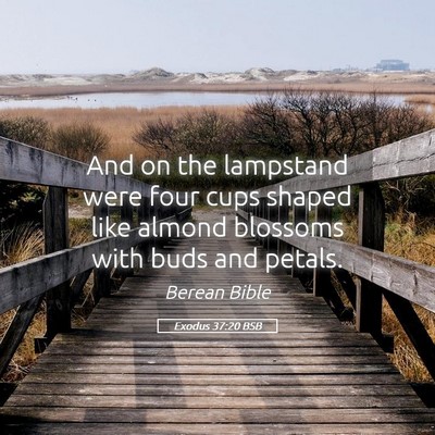 Picture 05 - Exodus 37:20 BSB - And on the lampstand were four cups shaped like - Bible Verse Picture