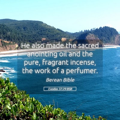Picture 05 - Exodus 37:29 BSB - He also made the sacred anointing oil and the - Bible Verse Picture